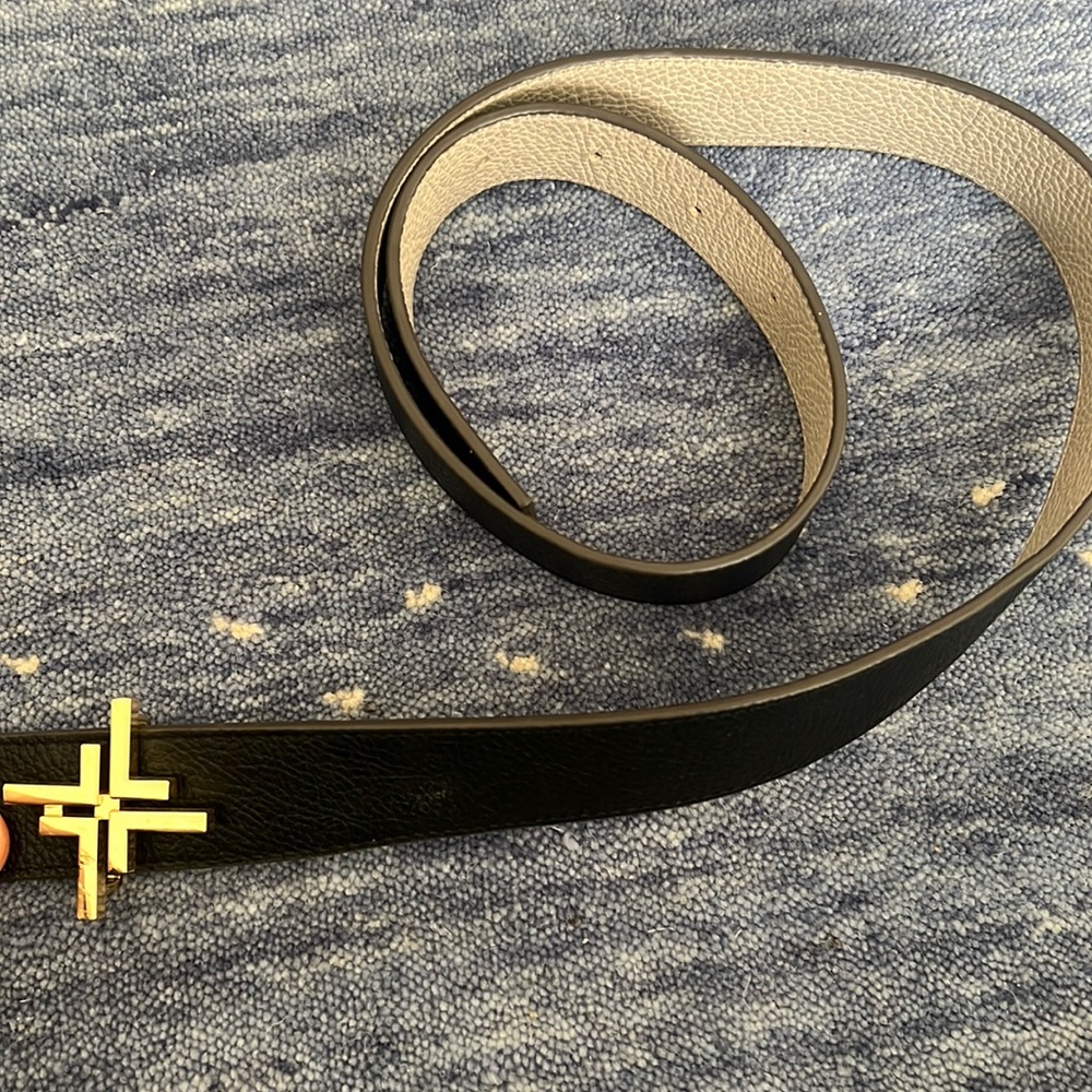 Reversible Belt